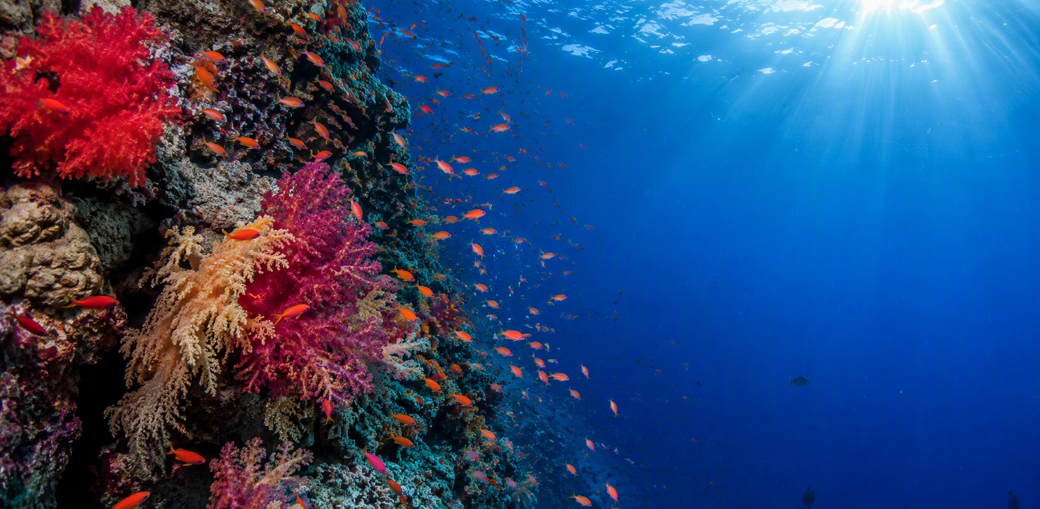 Diving centre